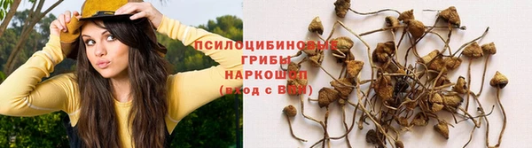 кокаин Заводоуковск